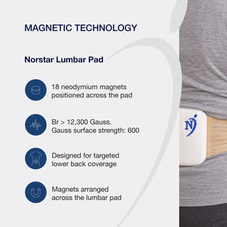 Lumbar Pad