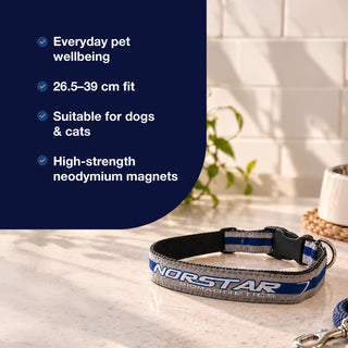 Pet Collar