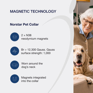 Pet Collar