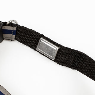 Pet Collar