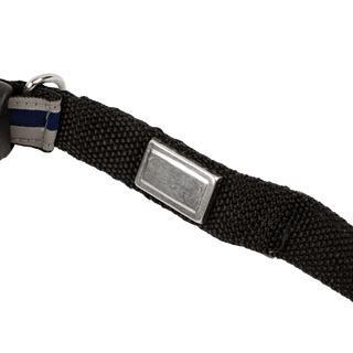 Pet Collar